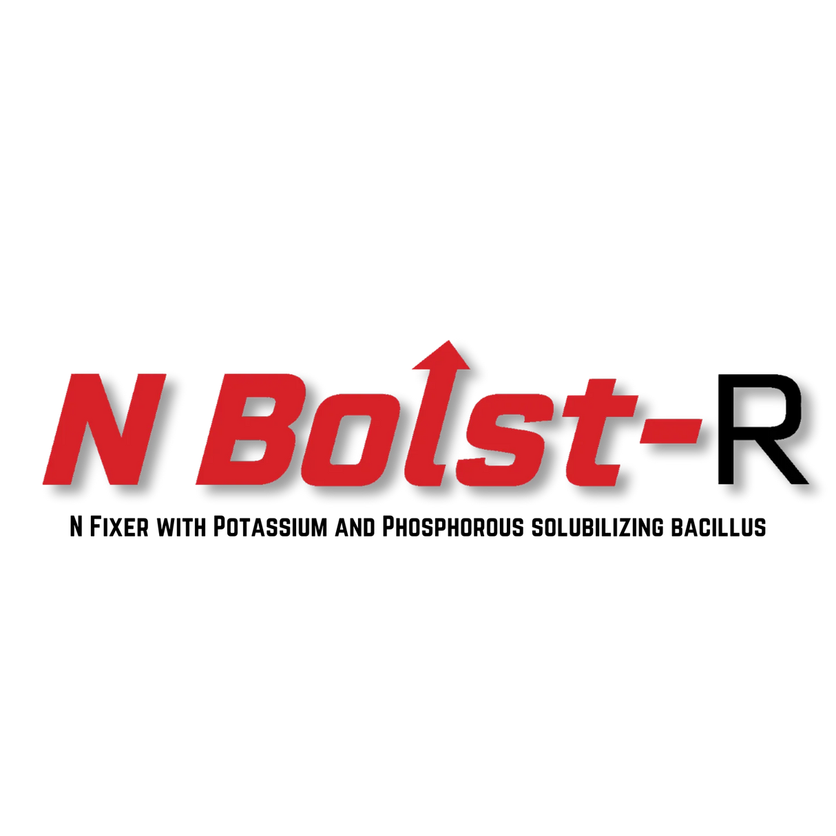 N Bolst-R Logo