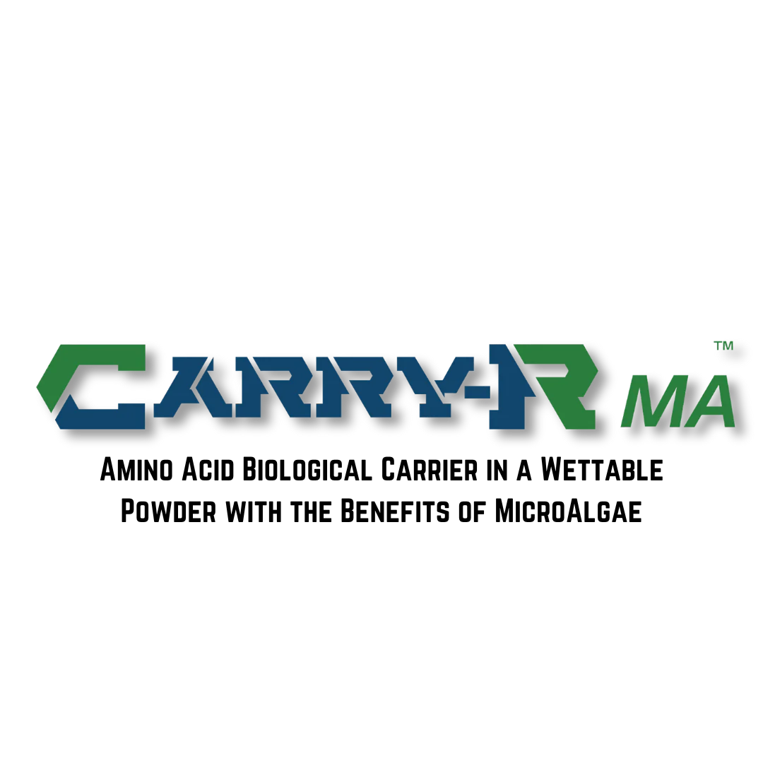 Carry-R Logo