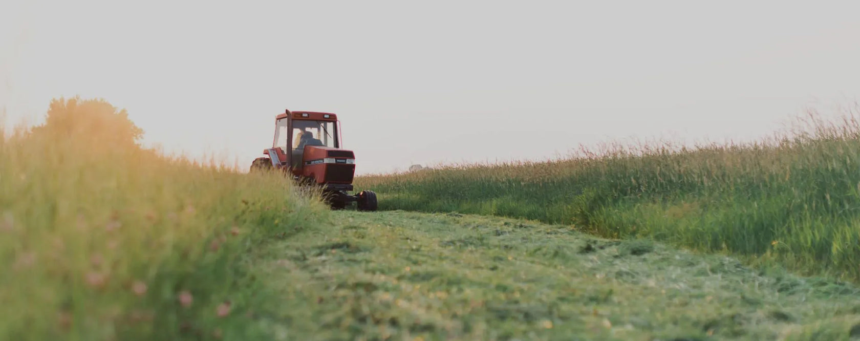 Tractor cutting hay in field