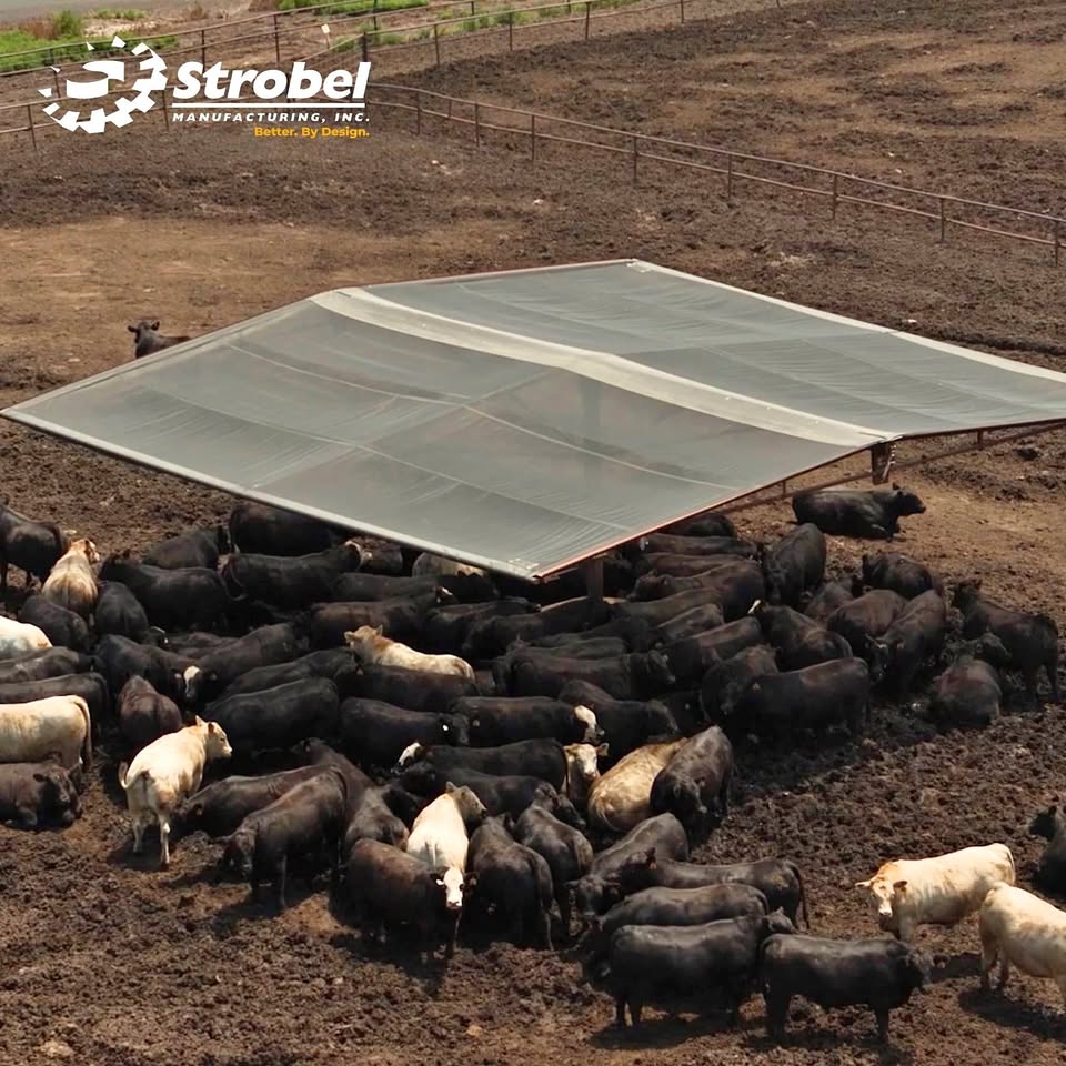 Strobel Cattle Shade