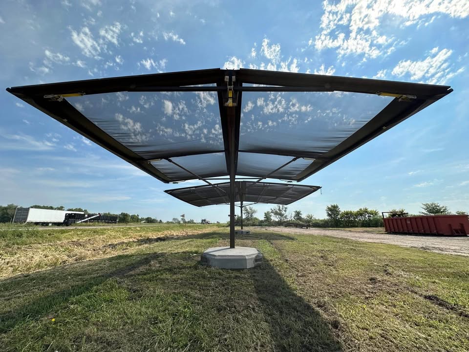 Strobel Cattle Shade