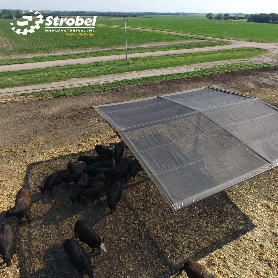 Strobel Cattle Shade
