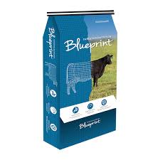Blueprint® Calf Krunch 18% D22.7 - 50lb Bag