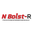 N Bolst-R Logo