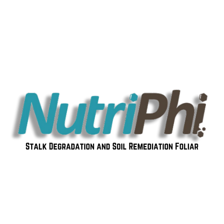 NutriPhi Logo