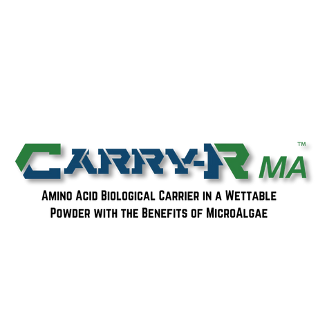 Carry-R Logo