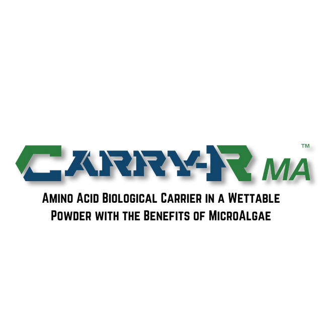 Carry-R Logo