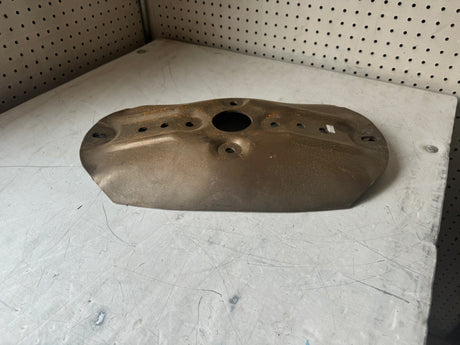 Turtle Shell
