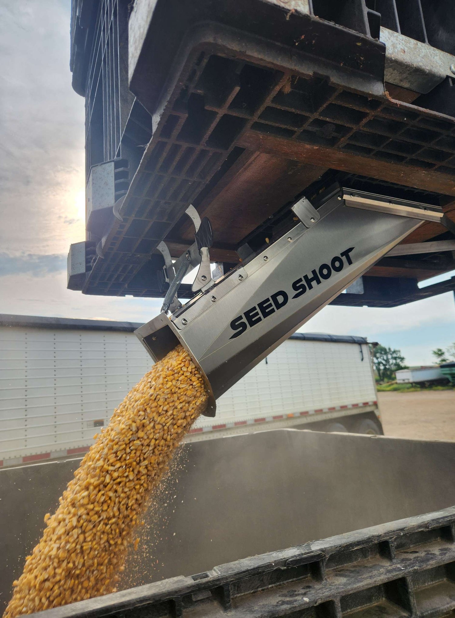 Seed Shoot