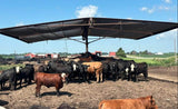 Strobel Cattle Shade