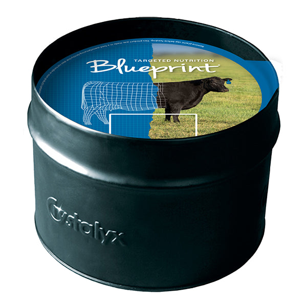 Blueprint® 6% Phos Mineral